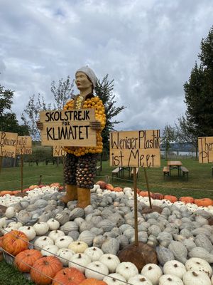 Pumpkin Festival  at Jucker Farm in Seegraben