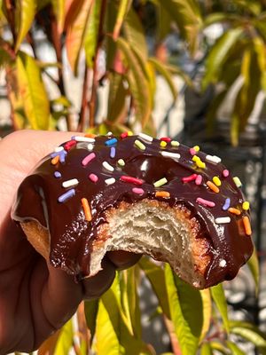 Chocolate Sprinkles at Donut Flyer in San Diego