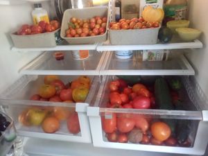 Fresh produce from our greenhouse for organic vegan meals  at Divine Grace Colon Hydrotherapy and Massage Retreat Reno NV RV park in Reno