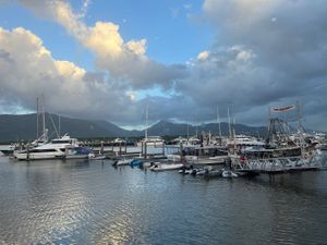 Beautiful vieww  at Salt House in Cairns