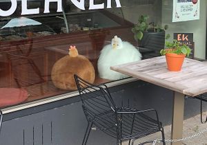 Chicken plushies🥹  at De Vegetarische Slager Shop in Rotterdam