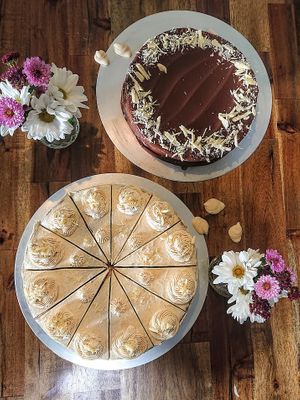  at Kartoffelkogge in Rostock