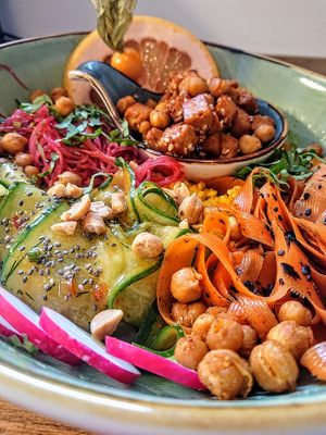  at Kartoffelkogge in Rostock