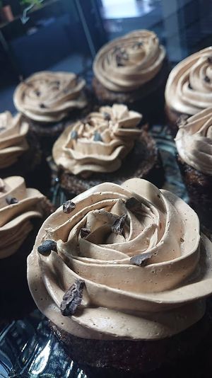  at Kartoffelkogge in Rostock