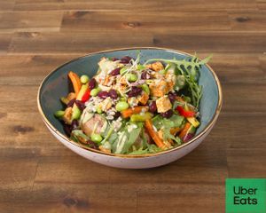  at Kartoffelkogge in Rostock