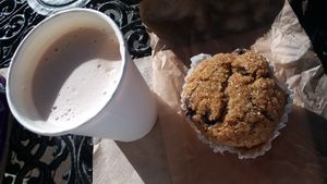 Vegan gluten-free blueberry muffin, and matcha latte with almond milk at Coffee Fox in Savannah
