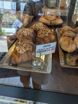  at Coffee Fox in Savannah