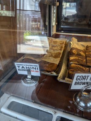  at Coffee Fox in Savannah