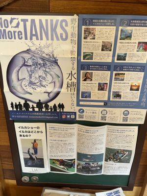 Flyer on ending dolphin shows  at Kyonooyatsu to Coffee in Hadano