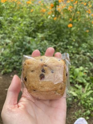 Vegan Chocolate chip biscuit  at Kyonooyatsu to Coffee in Hadano