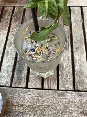   at The Hummus Connection  in Nuremberg