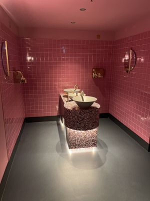 Trendy toilet   at Kapara in London