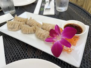 Veggie dumplings   at Bamboo House in Frenchtown