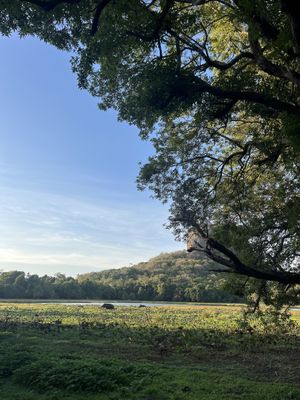   at Soul Food  in Sigiriya