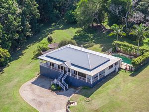  at Olive Wood Vegan in Alstonvale