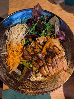 Wonton Noodle with duck at Chay Vegan Göttingen in Gottingen