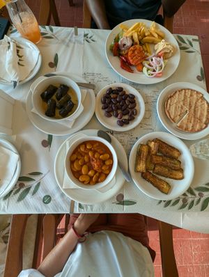 Vegetable platter, stuffed vine leafs, grilled courgette, giant beans in red sauce, olives, pitta  at Aqua Marina Taverna in Kefalonia