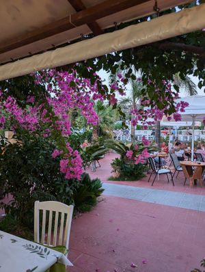🌺 at Aqua Marina Taverna in Kefalonia