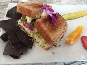Un-Tuna & Sprout sandwich at The Sanibel Sprout in Sanibel