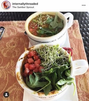 Viet Pho & Indian coconut curry (vegan)  at The Sanibel Sprout in Sanibel