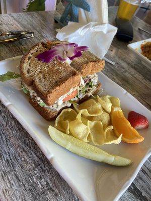 Untuna sandwich  at The Sanibel Sprout in Sanibel