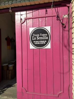 💜 at La Semilla in Veracruz