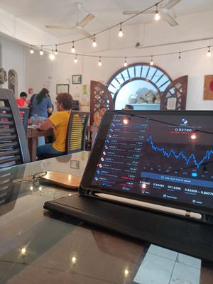 good Internet and fair prices for healthy food at La Semilla in Veracruz