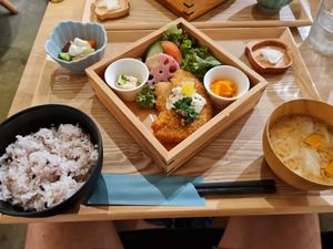  at ZENZAI in Kagoshima