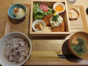  at ZENZAI in Kagoshima