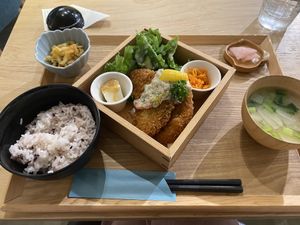   at ZENZAI in Kagoshima