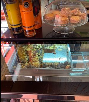  at La Loca de Enfrente in Madrid