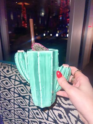 Pretty fly for a cacti   at Komodo  in Dallas