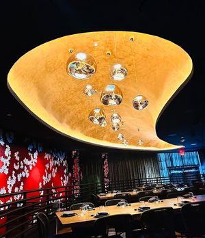   at Komodo  in Dallas