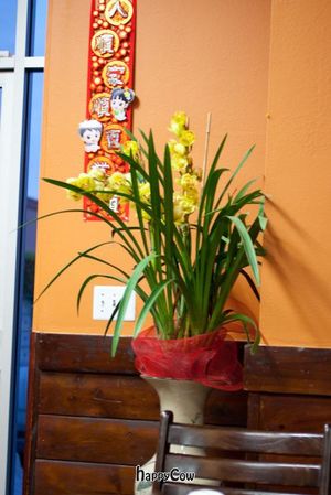 Live orchid decor.  Nice! at An Lac Duyen in Garden Grove