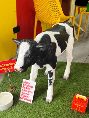 Mr Charlie's at Mr.Charlie's - Sydney in Redfern