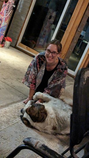 Vegan food meetup for the Springfield Vegan Chef Challenge at Good Decisions in New Berlin