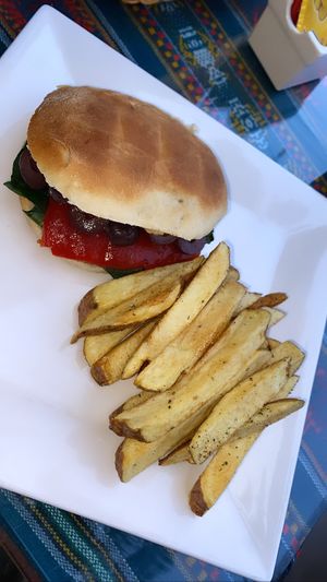Vegan hummus sandwich and fries  at La Casa de Bamboo in Huacachina