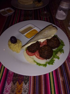 Falafel! at La Casa de Bamboo in Huacachina