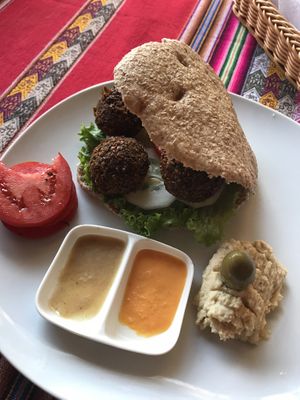 Falafel at La Casa de Bamboo in Huacachina