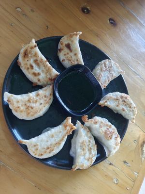 Gyoza! at Yunnan Vegetarian Noodles Shop - หงส์หงส์บะหมี่ยูนนาน in Chiang Rai