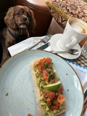 Vegan smashed avocado brunch & oat latte    at Barco Lounge in Selby