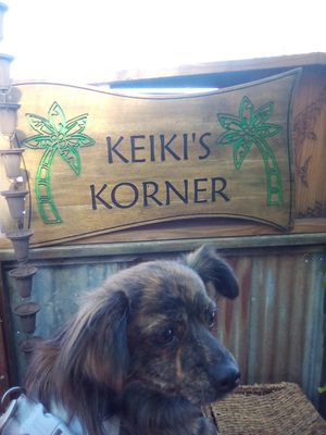 Bella at Pono Hawaiian Kitchen & Tap in Capitola