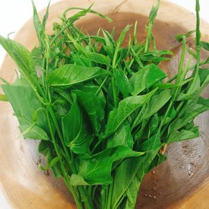 Pak Changda in season fresh from garden at Hotpot Panda in Chiang Mai