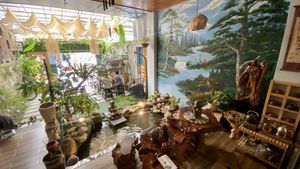 from in-out  at Aurora Chay Quan in Da Nang