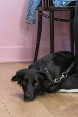  at Cupcakemoka bakery in Barcelona