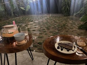 Cheesecake was yummmmy  at PlantLab in Hoi An