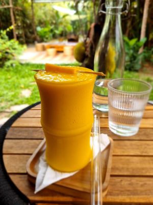 Mango Lassi at PlantLab in Hoi An