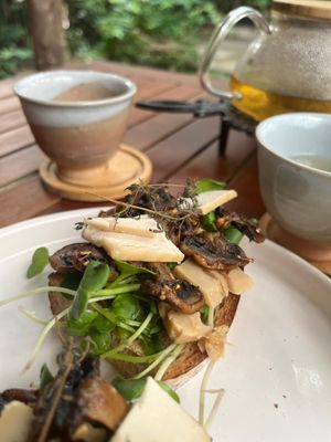  at PlantLab in Hoi An