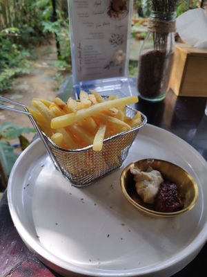  at PlantLab in Hoi An