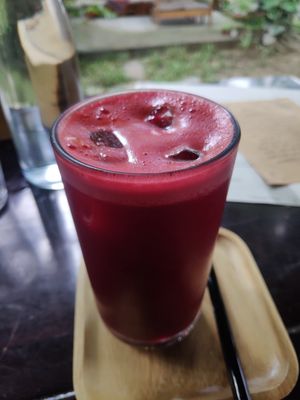  at PlantLab in Hoi An